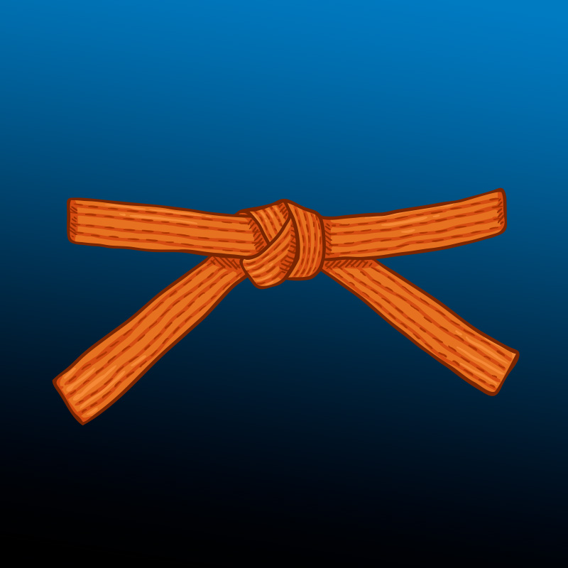 Lean Orange Belt